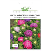Айстра китайська низькоросла Камео суміш 0,3 г ПРОФ