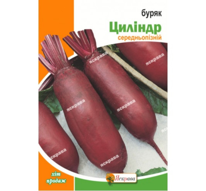 Буряк Циліндра 20г