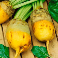 Буряк кормовий Еккендорфський жовтий 0,5 кг