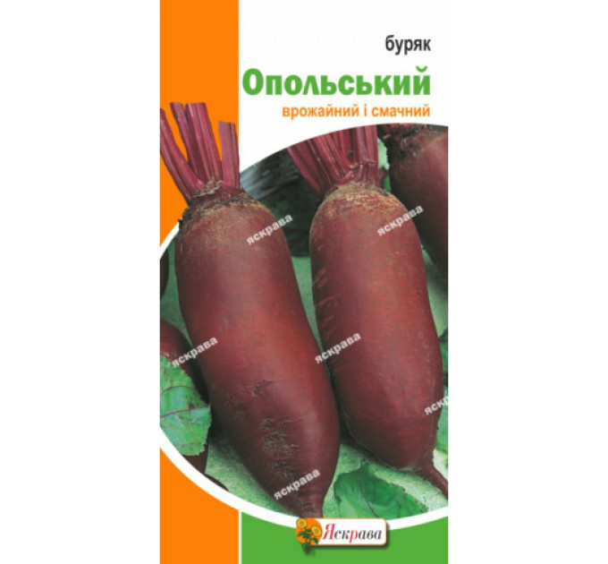 Буряк Опольський 3 г
