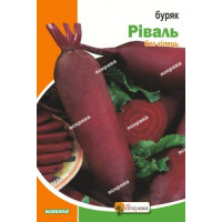 Буряк стол Рівал 3г