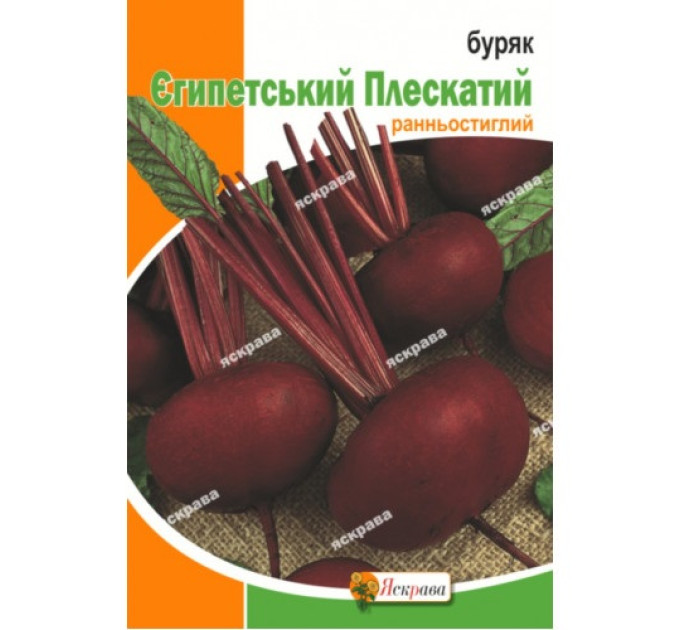 Буряк Єгипетський Плескатий 20г
