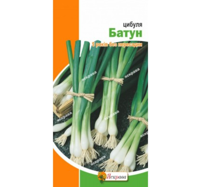 Цибуля Батун 1г