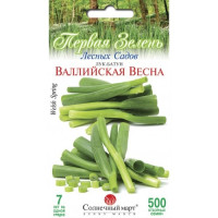 Цибуля-батун Валійська весна СБ