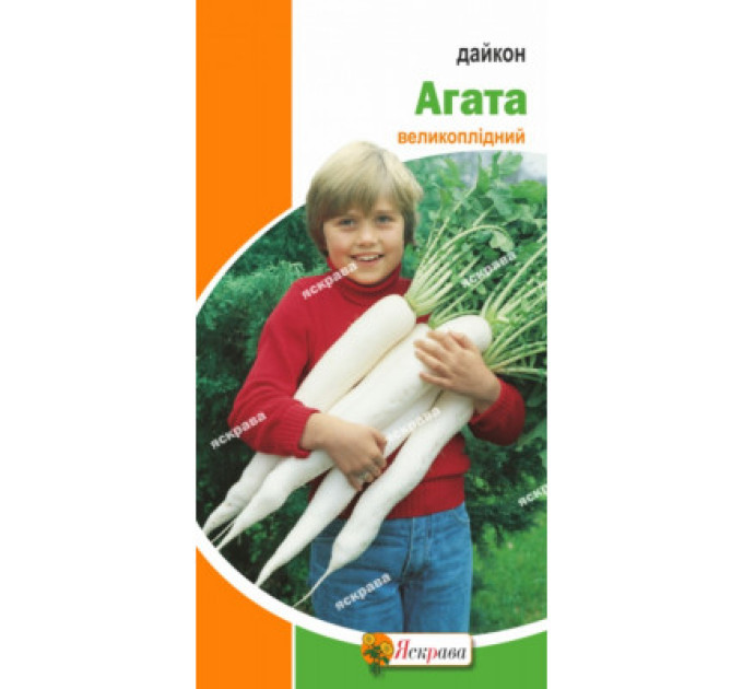 Дайкон Агата 2г