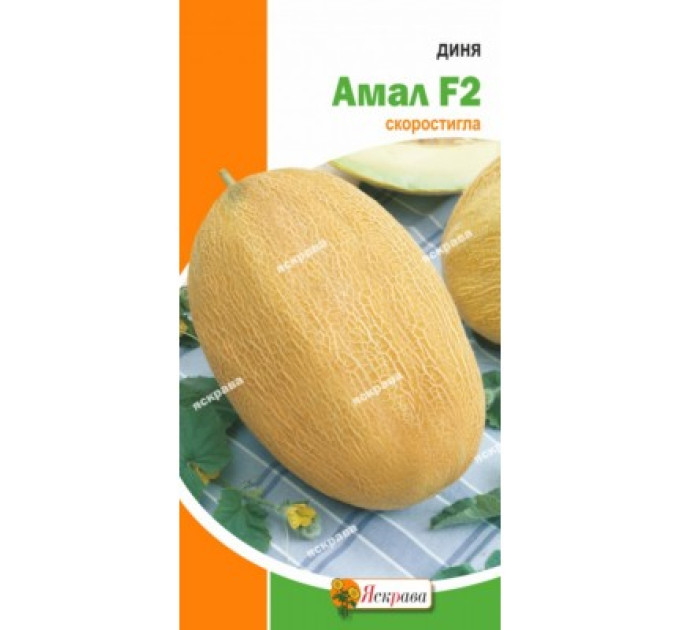 Диня Амал F2 10 нас