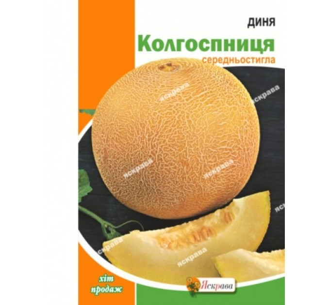 Диня Колгоспниця 10г