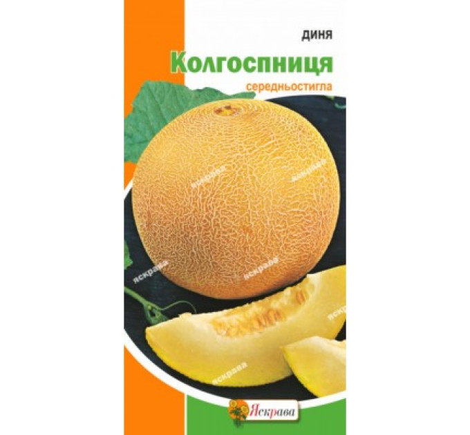 Диня Колгоспниця 2г