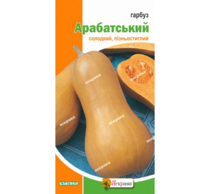 Гарбуз Арабатський 2г