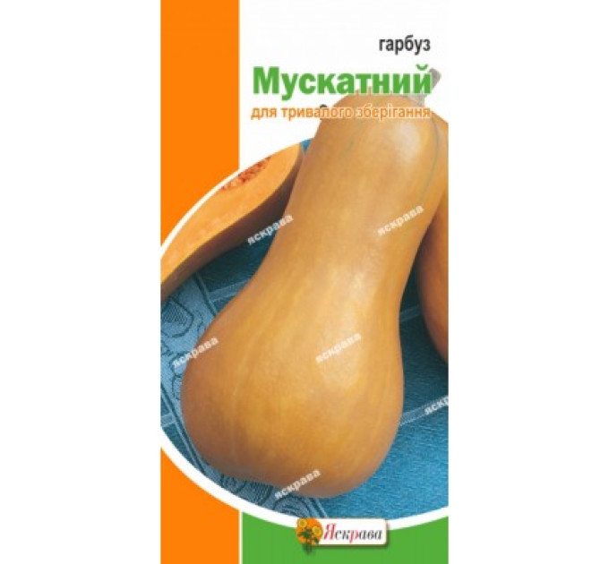 Гарбуз Мускатний 1г