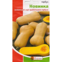 Гарбуз Новинка 2г