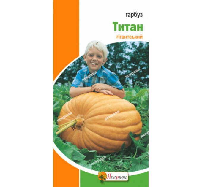 Гарбуз Титан 3г