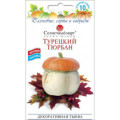 Гарбуз Турецький Тюрбан декорат СБ