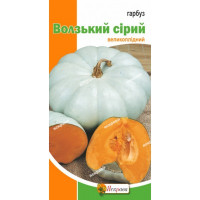 Гарбуз Волзький сірий 2г