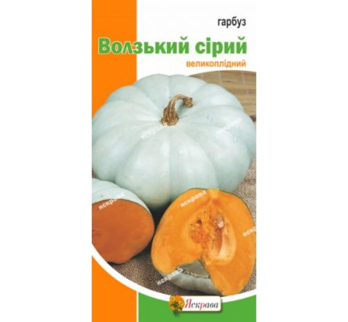 Гарбуз Волзький сірий 2г
