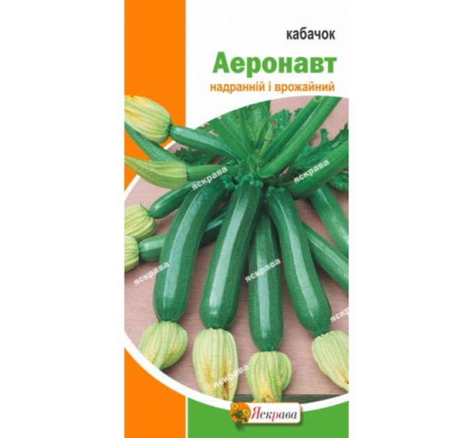 Кабачок Аеронавт 3г