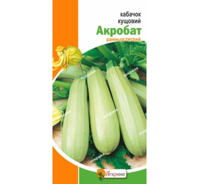 Кабачок Акробат кущовий 3г