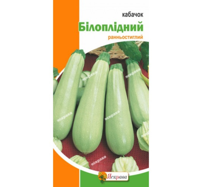 Кабачок Білоплідний кущовий 3г