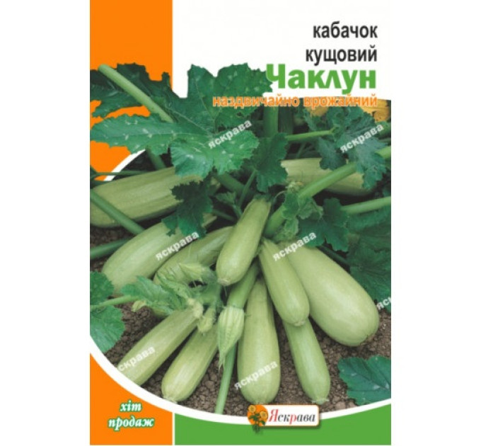 Кабачок Чаклун кущовий 20г
