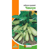 Кабачок Чаклун кущовий 3г