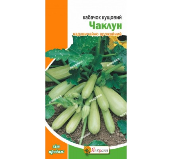 Кабачок Чаклун кущовий 3г