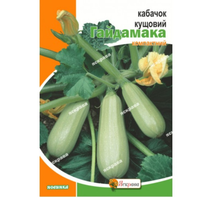 Кабачок Гайдамака кущовий 20г