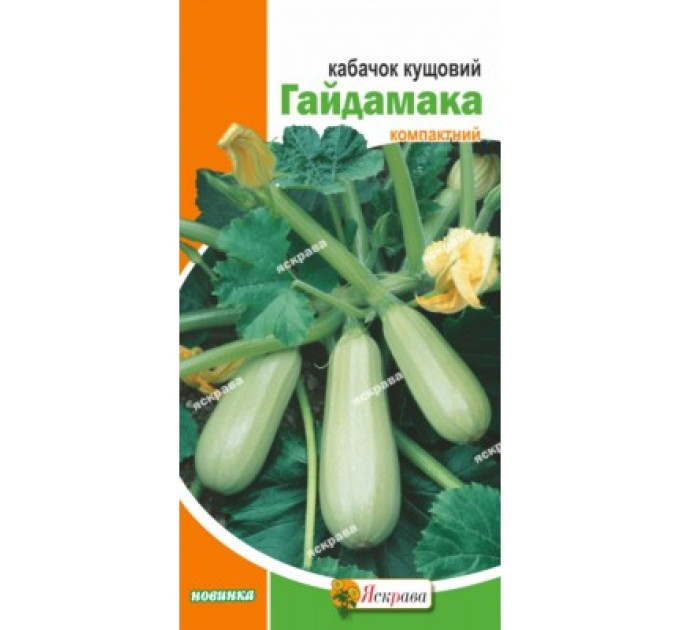 Кабачок Гайдамака кущовий 3г