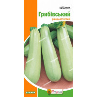 Кабачок Грибівський  кущовий 3г