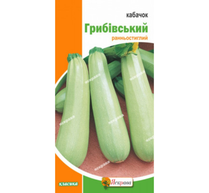 Кабачок Грибівський  кущовий 3г