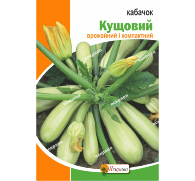 Кабачок Кущовий  20 г  кущовий