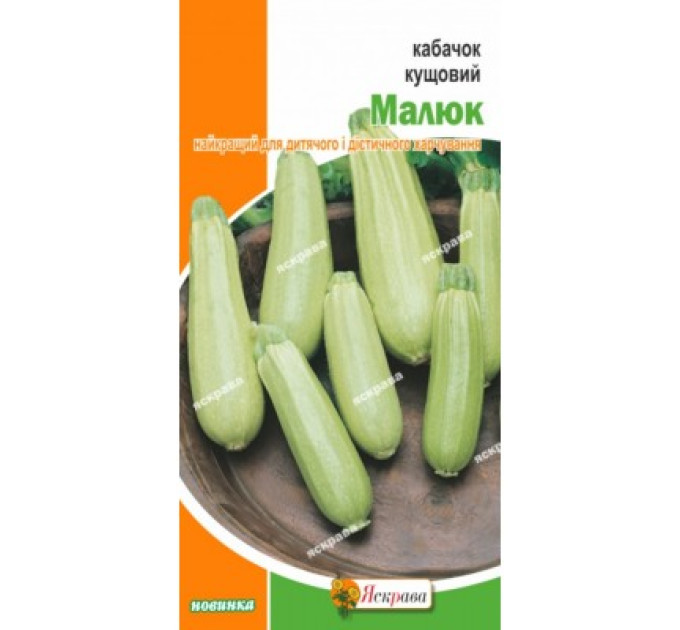 Кабачок Малюк кущовий 3г