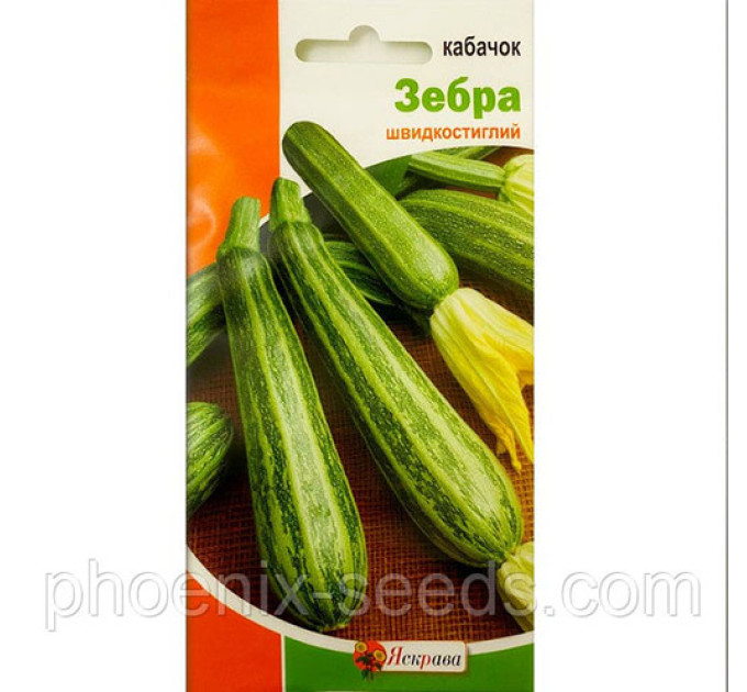 Кабачок Зебра 3г  кущовий