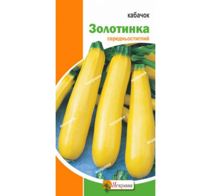 Кабачок Золотинка кущовий 3г