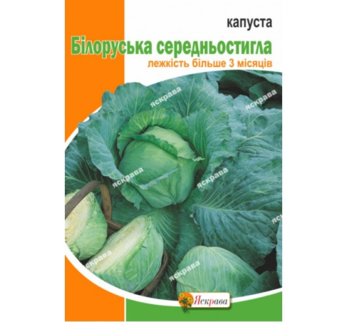 Капуста Білоруська середньостигла 10г