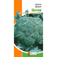 Капуста броколі Цезар (пізня) 0,5г