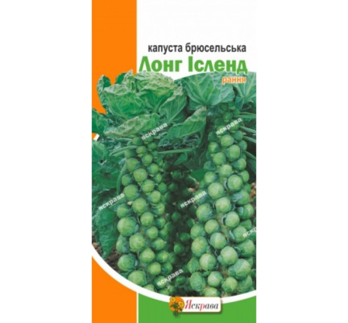 Капуста брюсельська Лонг Ісленд (рання) 0,5г