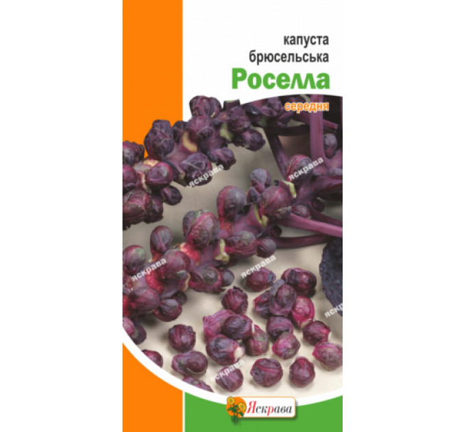 Капуста брюссельская Россела 0,5г червона ,середня