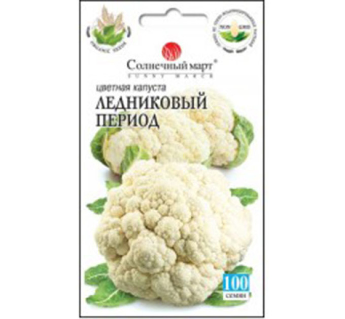 Капуста цвітна Льодовиковий період СБ