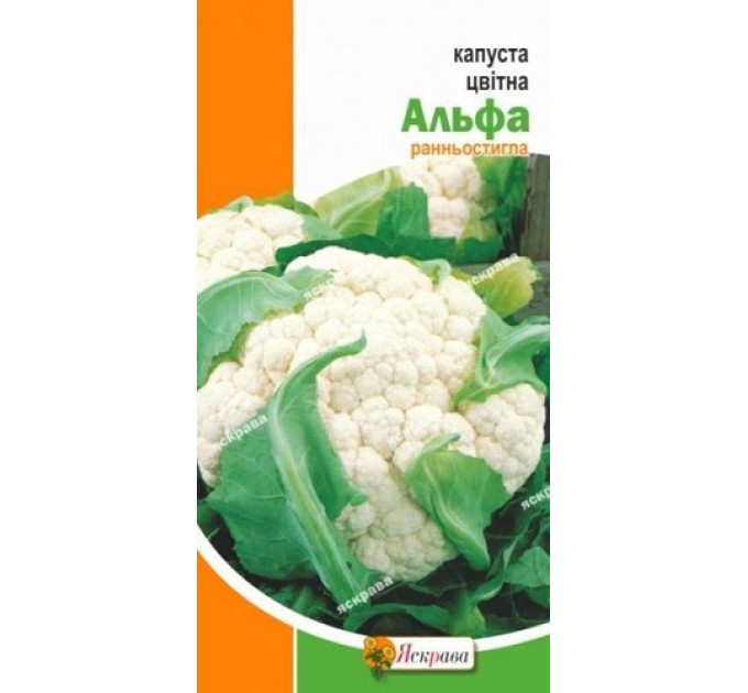Капуста цвітна Літня Альфа 0,3г