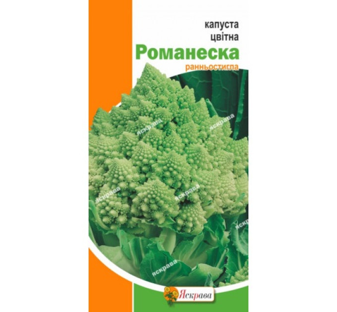 Капуста цвітна Романеска (зелена) 0.3г