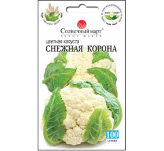 Капуста цвітна Снігова корона