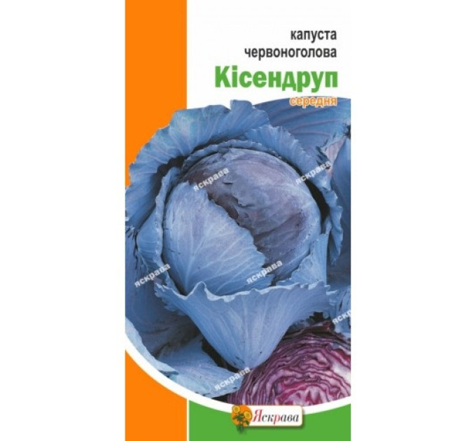 Капуста Кісендруп червоноголова середня 0,5г (500шт)