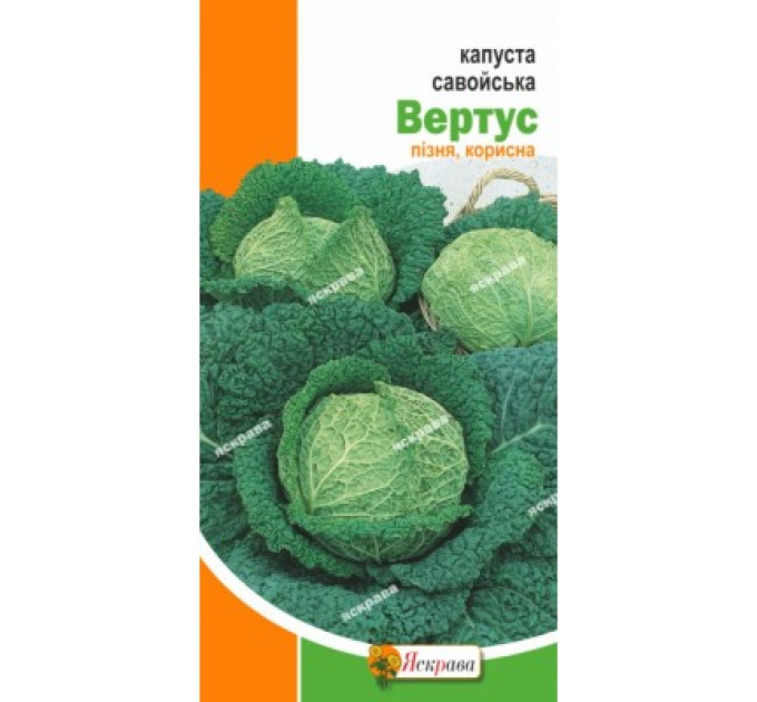 Капуста Вертус савойська  0,5г