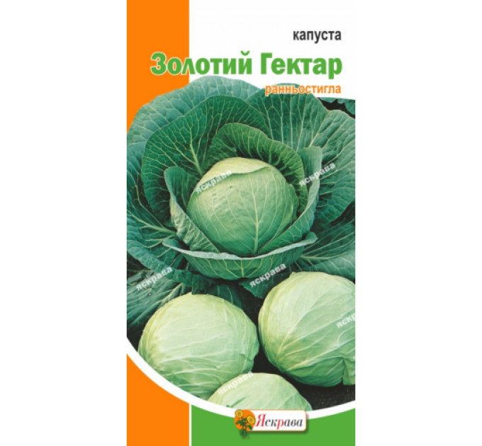 Капуста Золотий Гектар 0,5г
