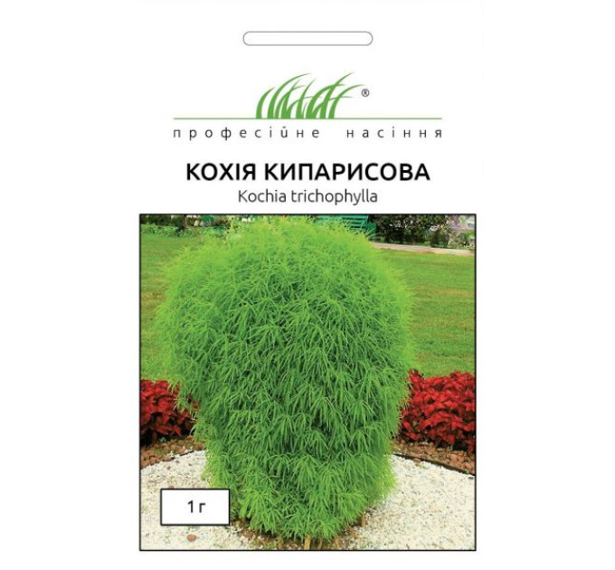 Кохія кипарисова 1 г ПРОФ