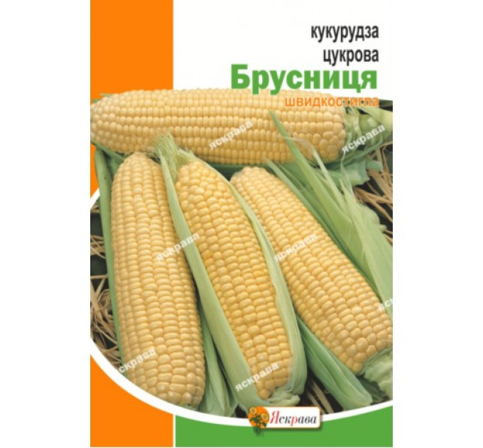 Кукурудза Брусниця цукрова 20г