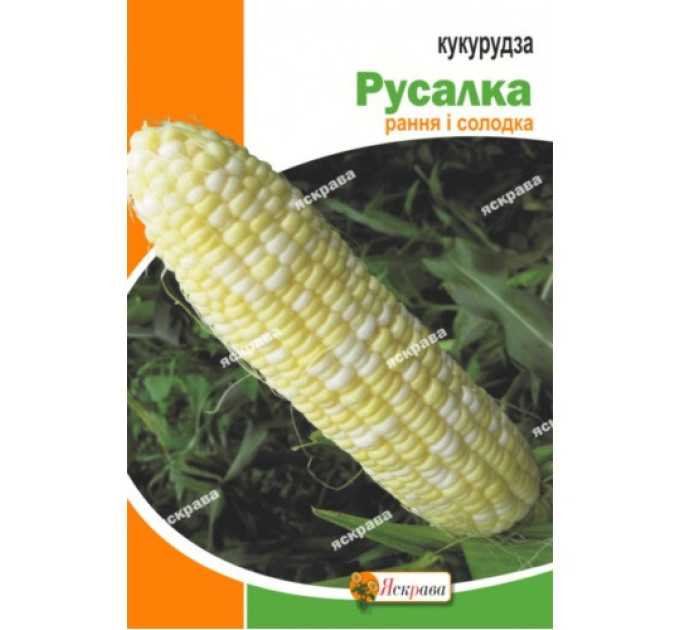 Кукурудза Русалка цукрова 20г