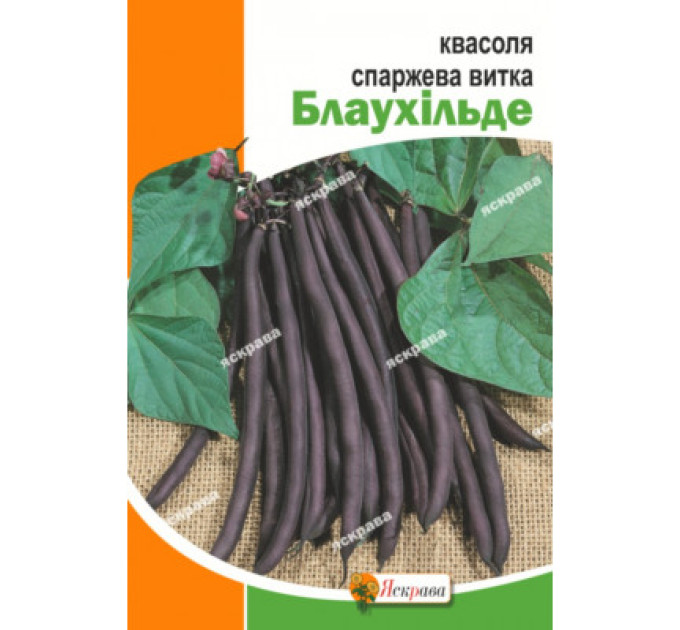 Квасоля Блаухільде спаржева фіол. витка 10г