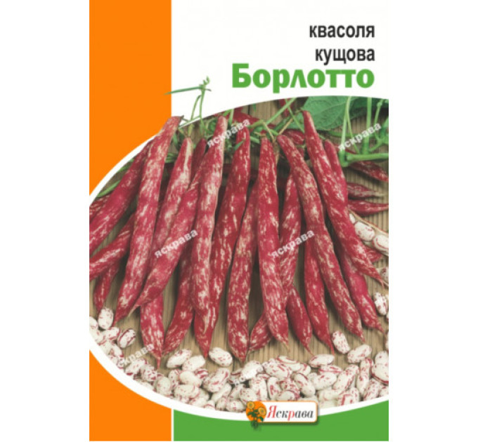 Квасоля Борлотто кущова 10г