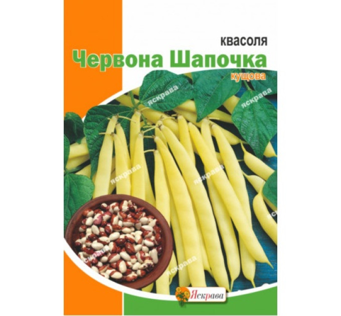 Квасоля Червона шапочка кущова 20г